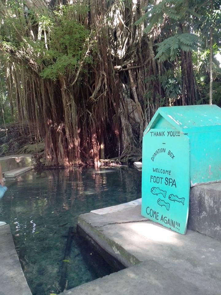 Balete Tree Siquijor