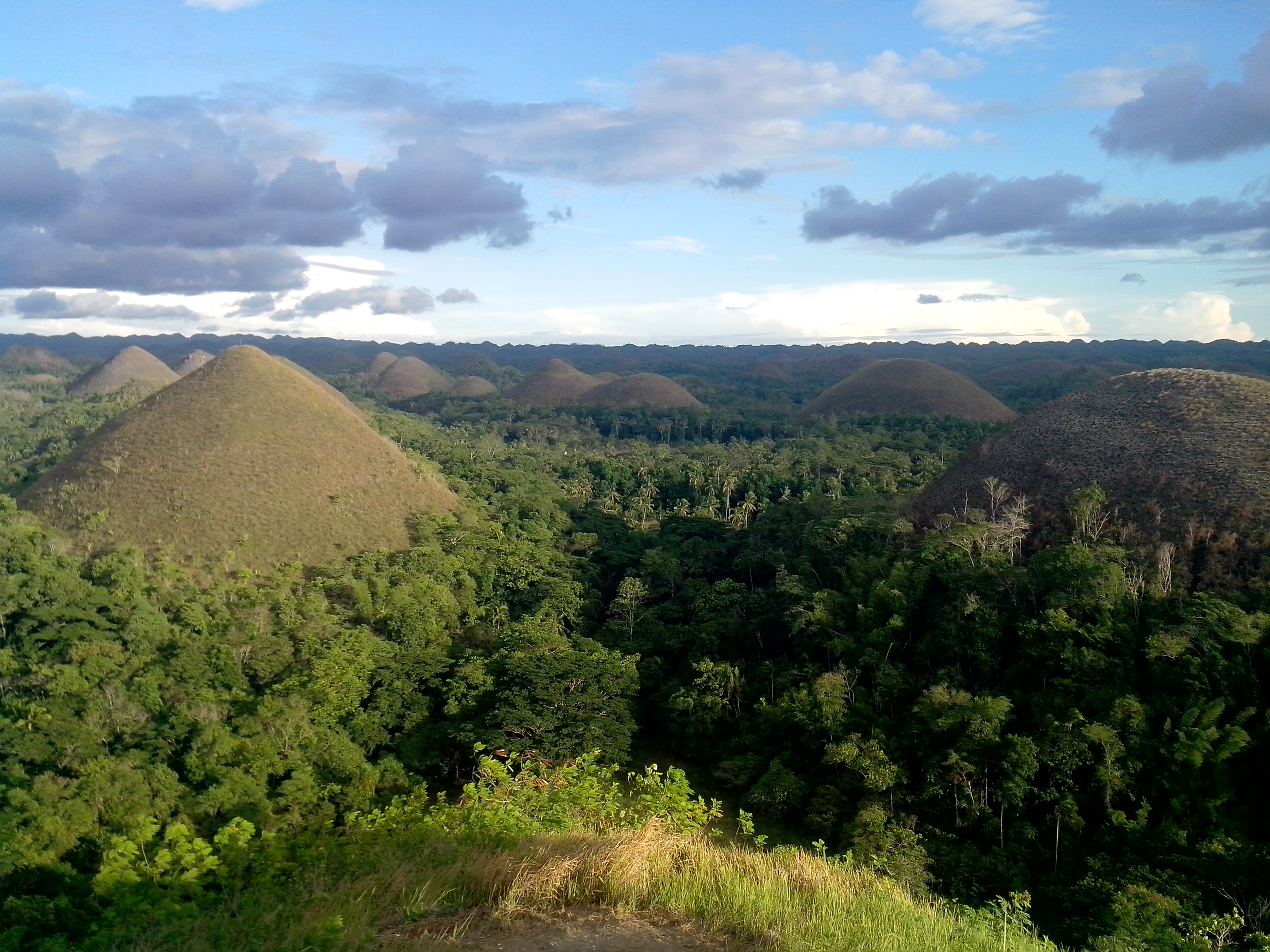 chocolate hills