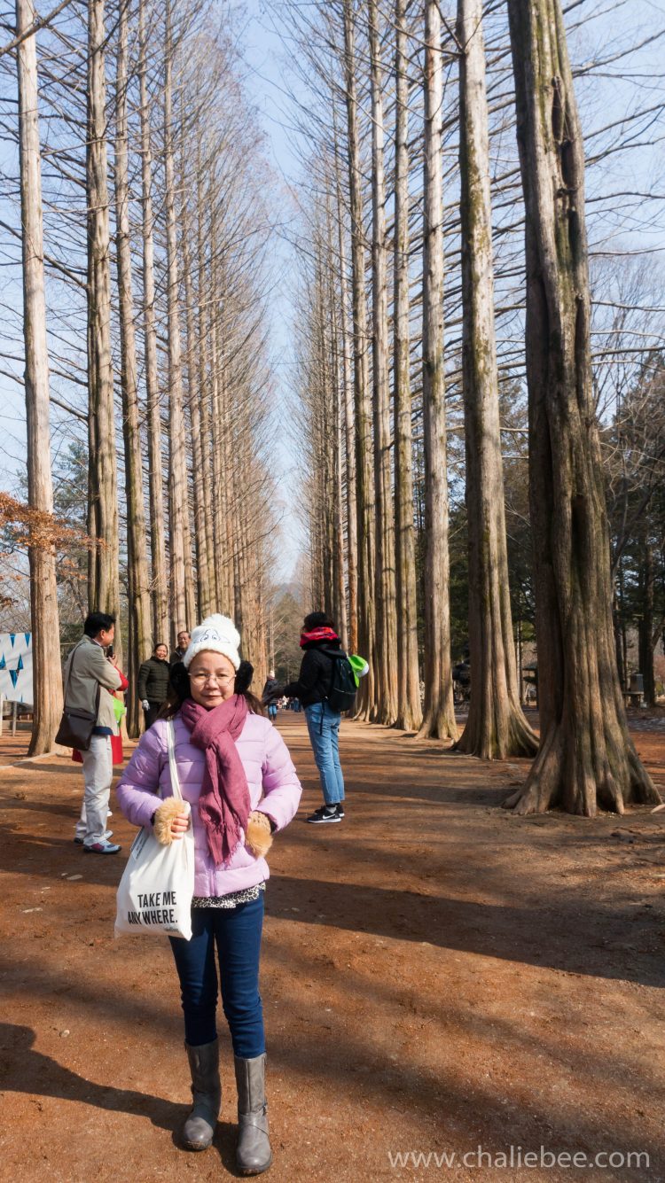 nami island south korea