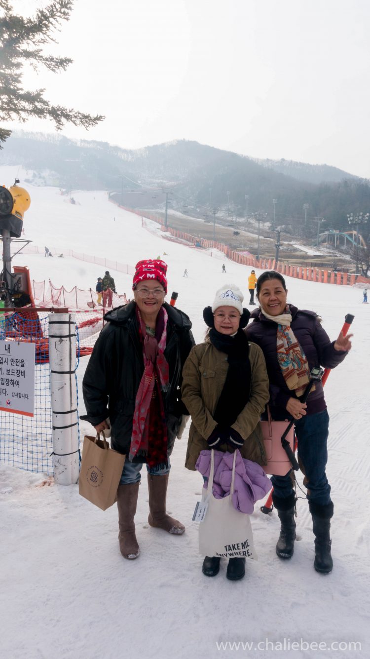 yangji pine ski resort